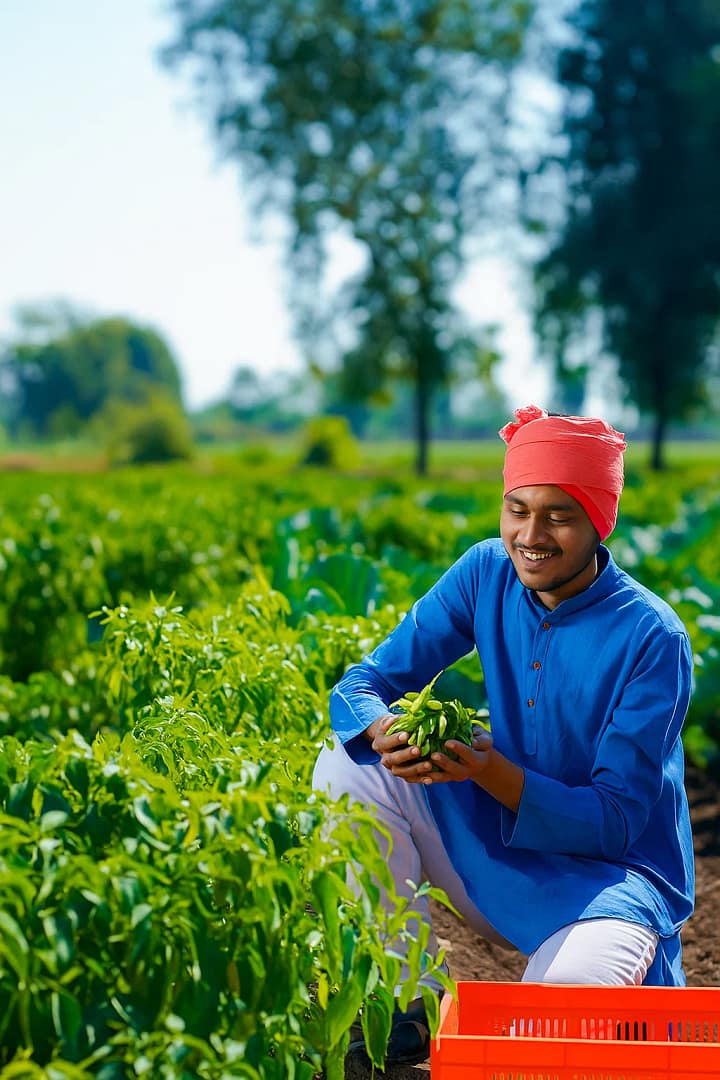 Food & Agriculture